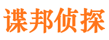 永福市调查公司